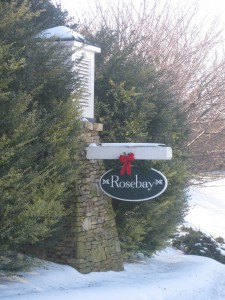 TP - Rosebay