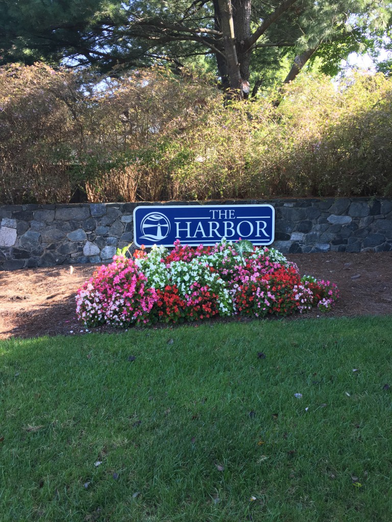 The Harbor HOA Lambeth Management & Realty, Inc.